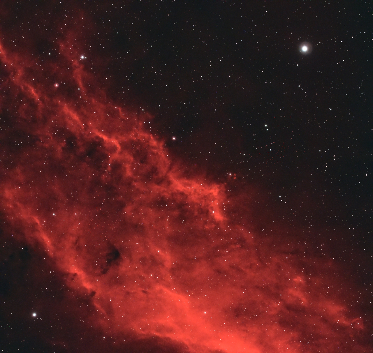 California Nebula