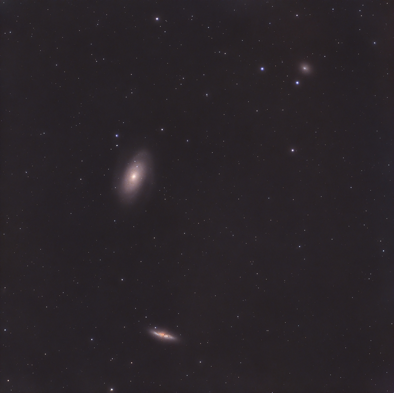 Bode's Galaxy