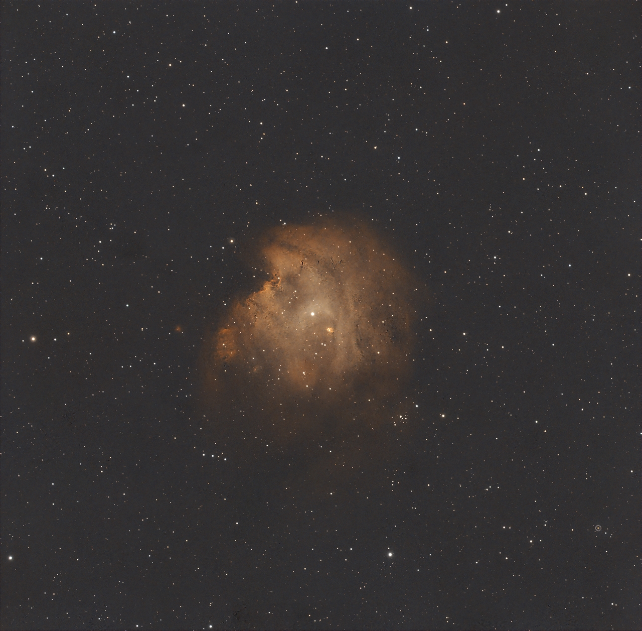 Monkey Head Nebula