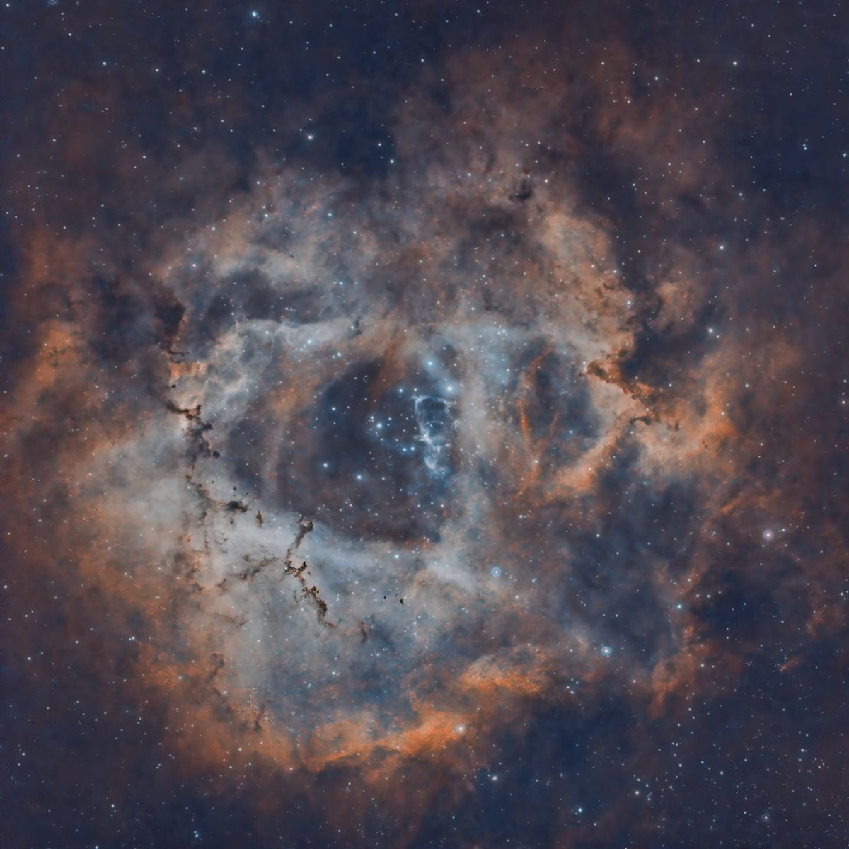 Rosette Nebula 231201