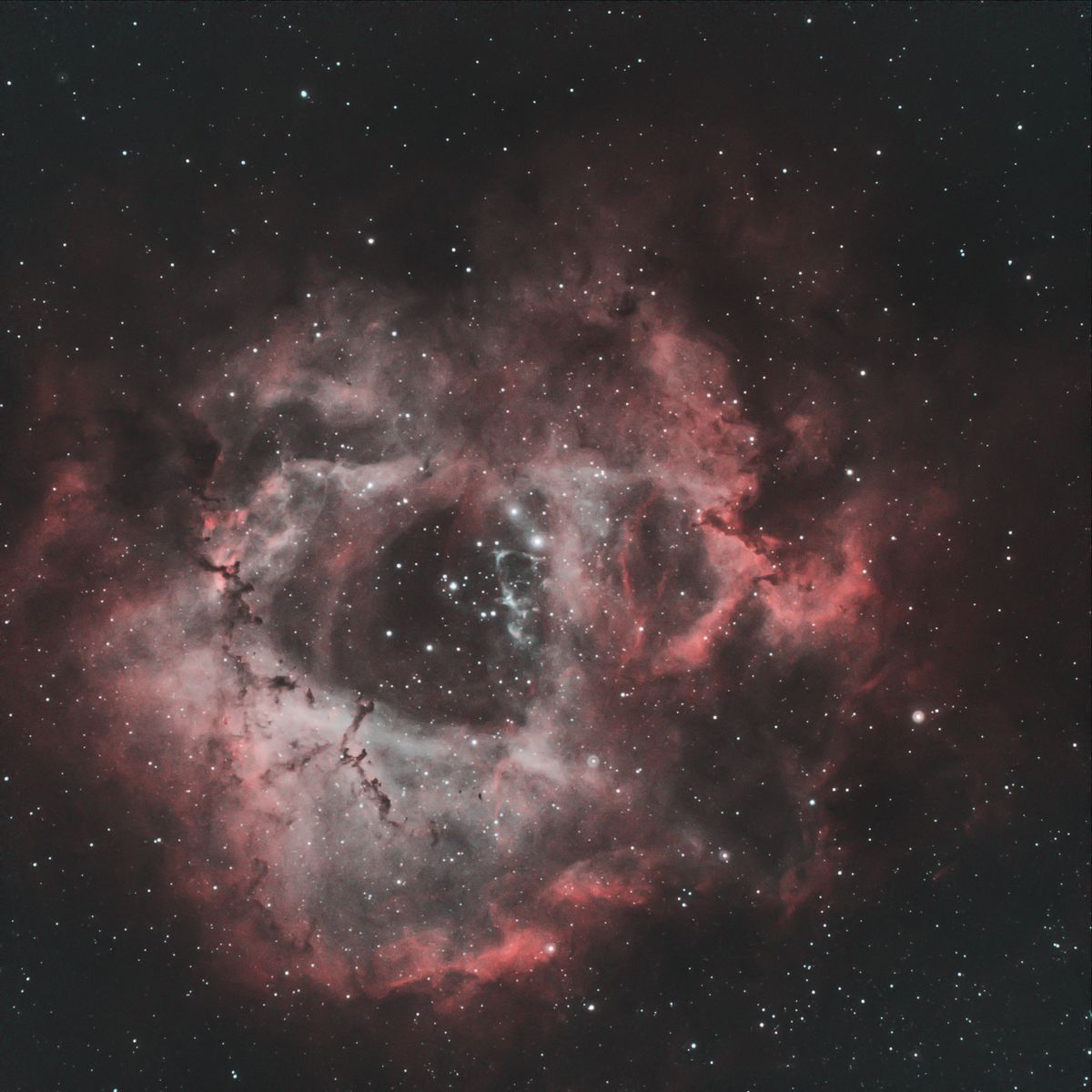 Rosette Nebula 231202