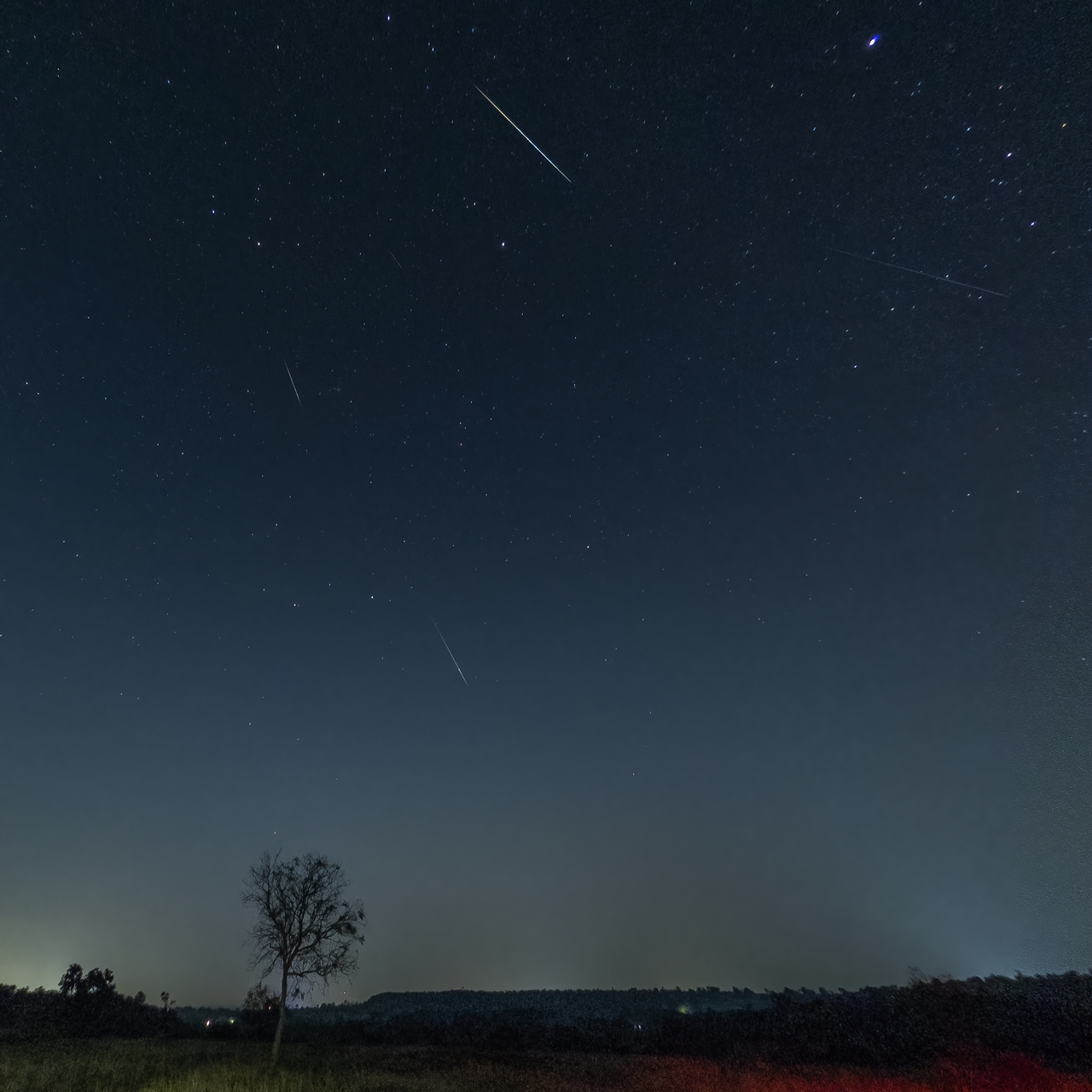 Geminids Meteor Shower 1