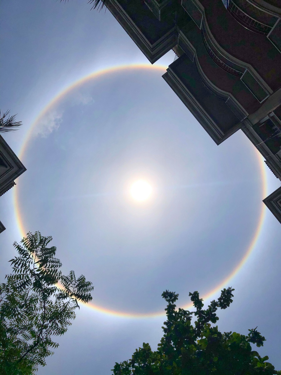 Solar Halo 2